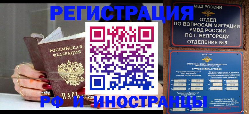 прописка в Саранске